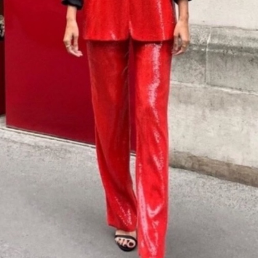 Zara res sequin pants size large